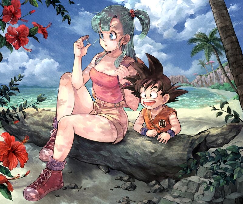 Goku and Bulma on Beach