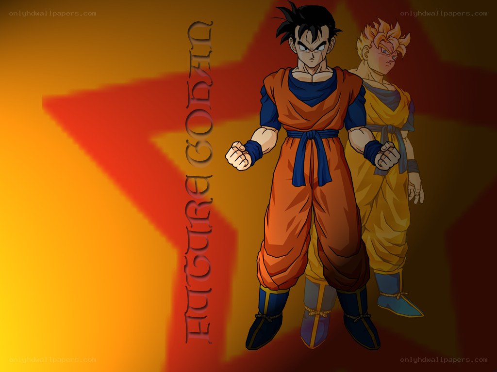 Goku and Future Goku