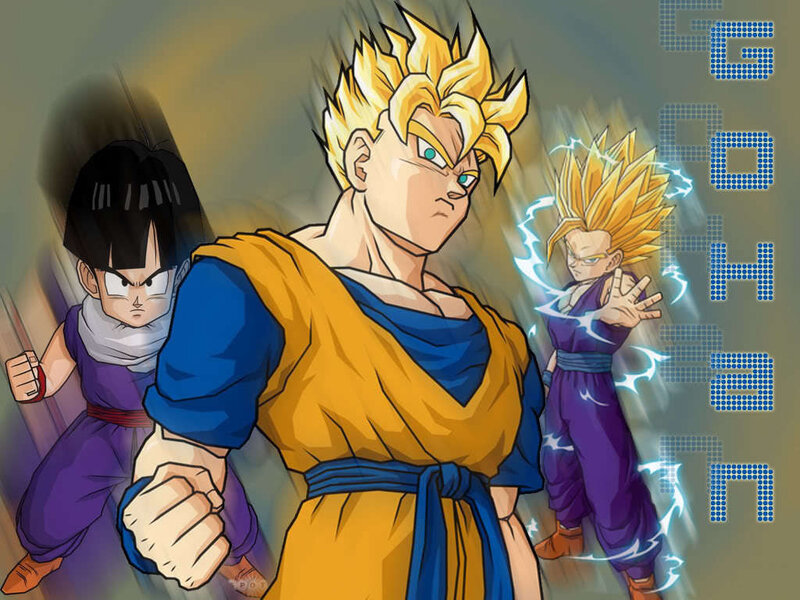 Goku and his transformations