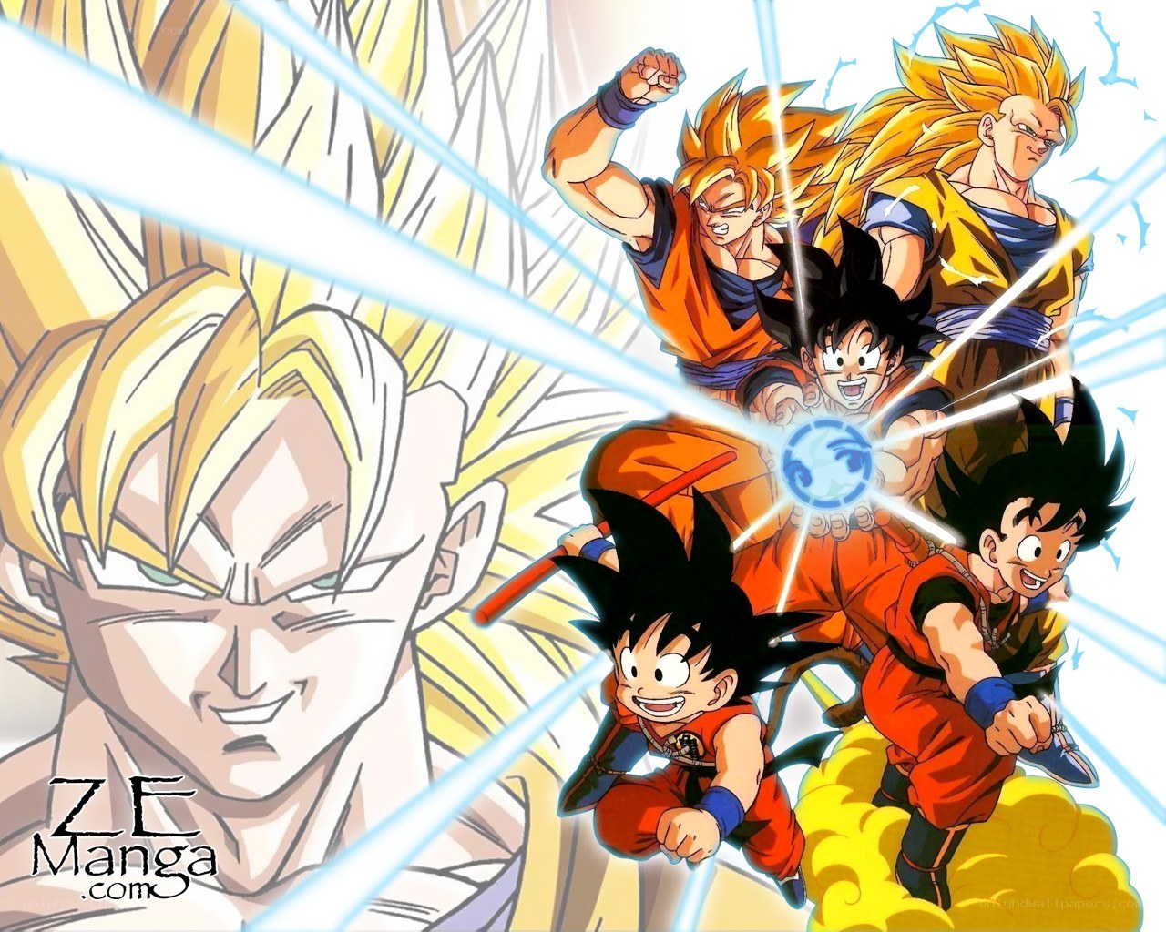 Goku and his transformations