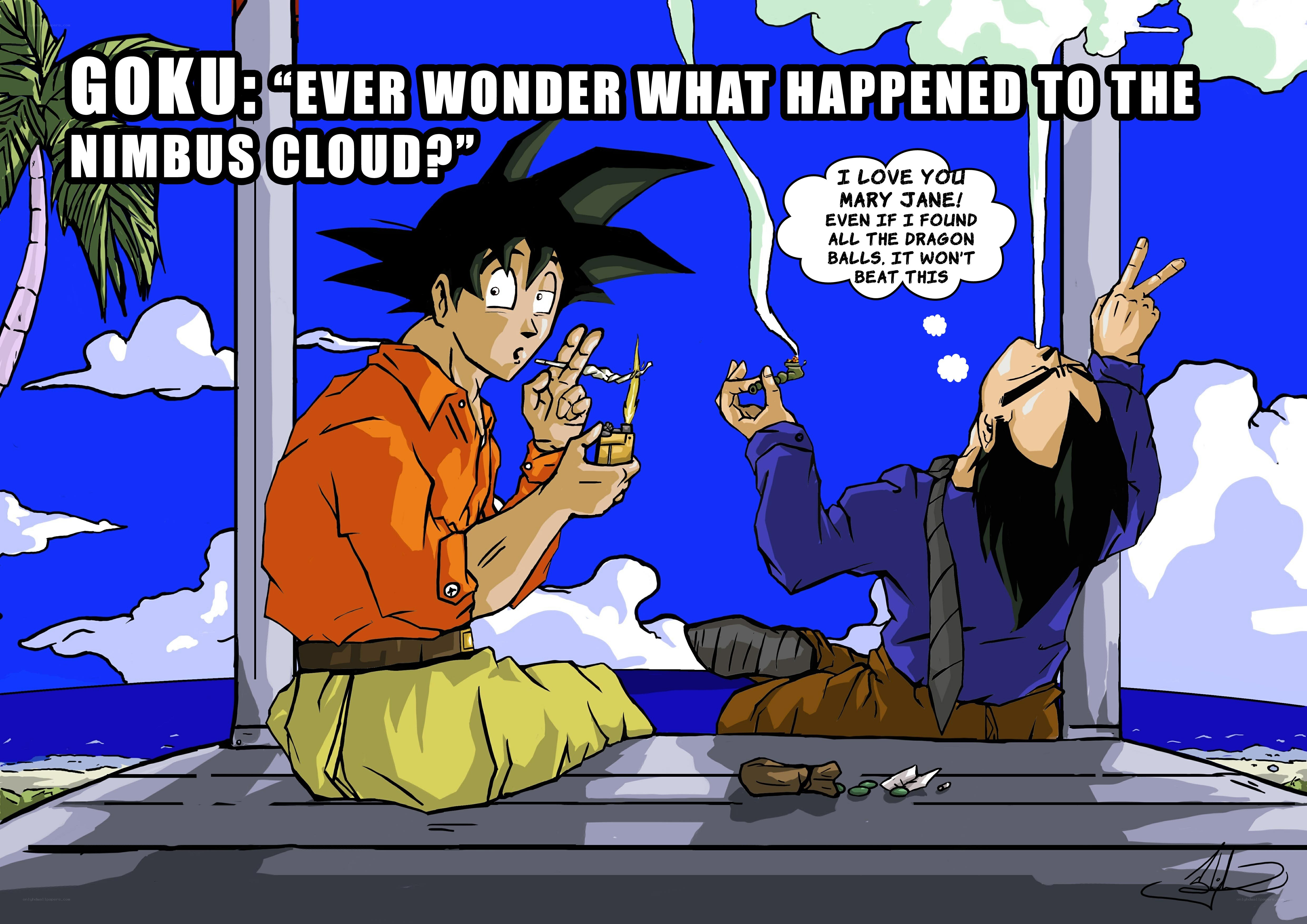 Goku and Krillin on a beach