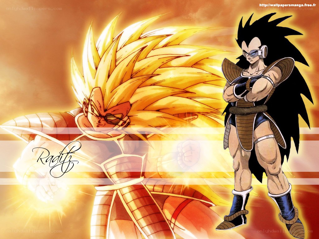 Goku and Raditz battle