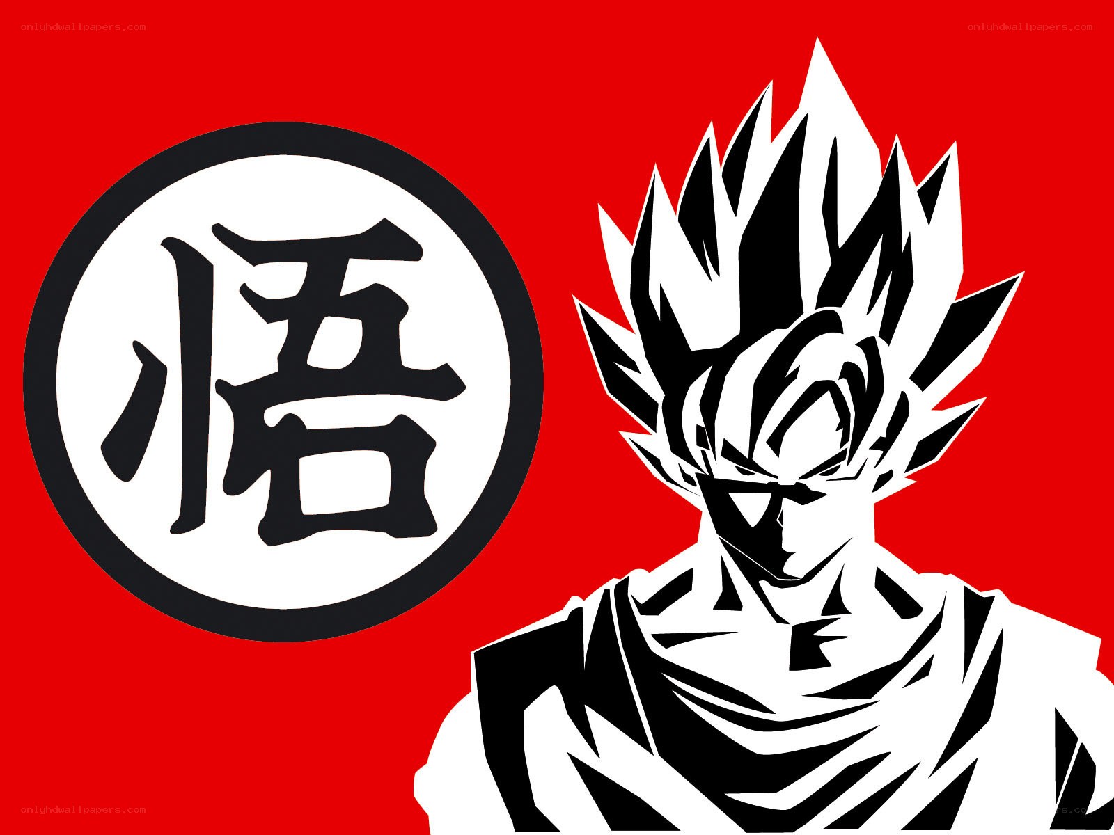 Goku and the Kame Symbol