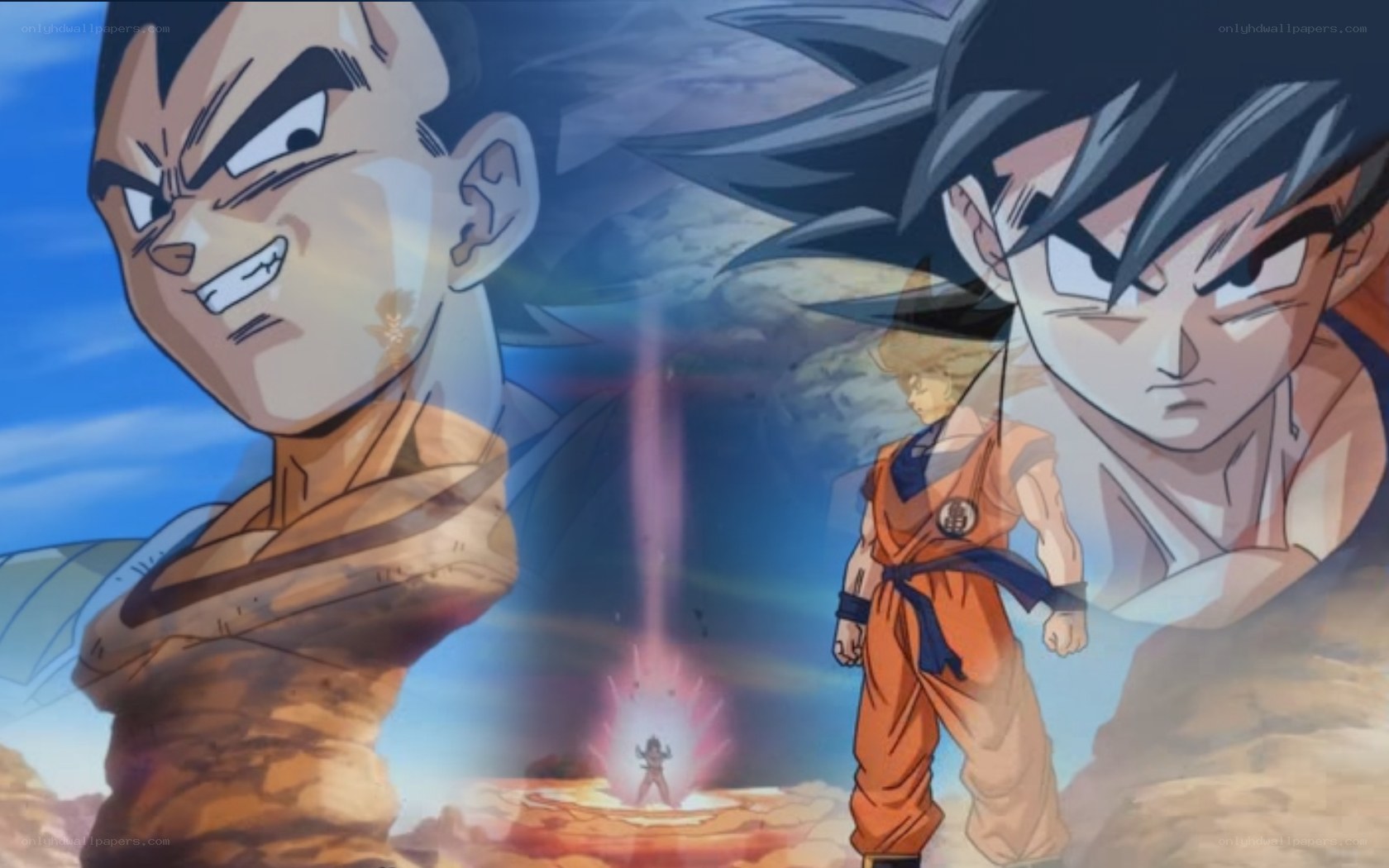 Goku and Vegeta confront each other