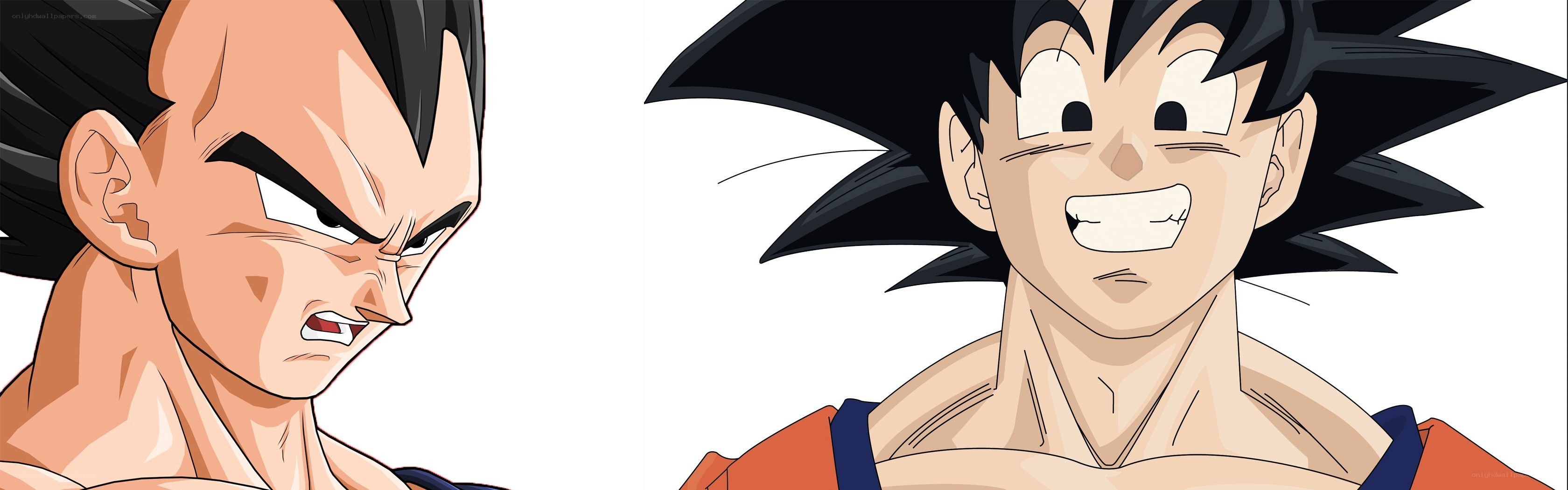 Goku and Vegeta face-off