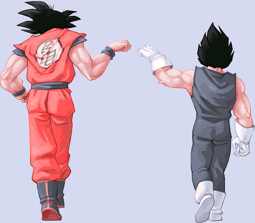 Goku and Vegeta facing off