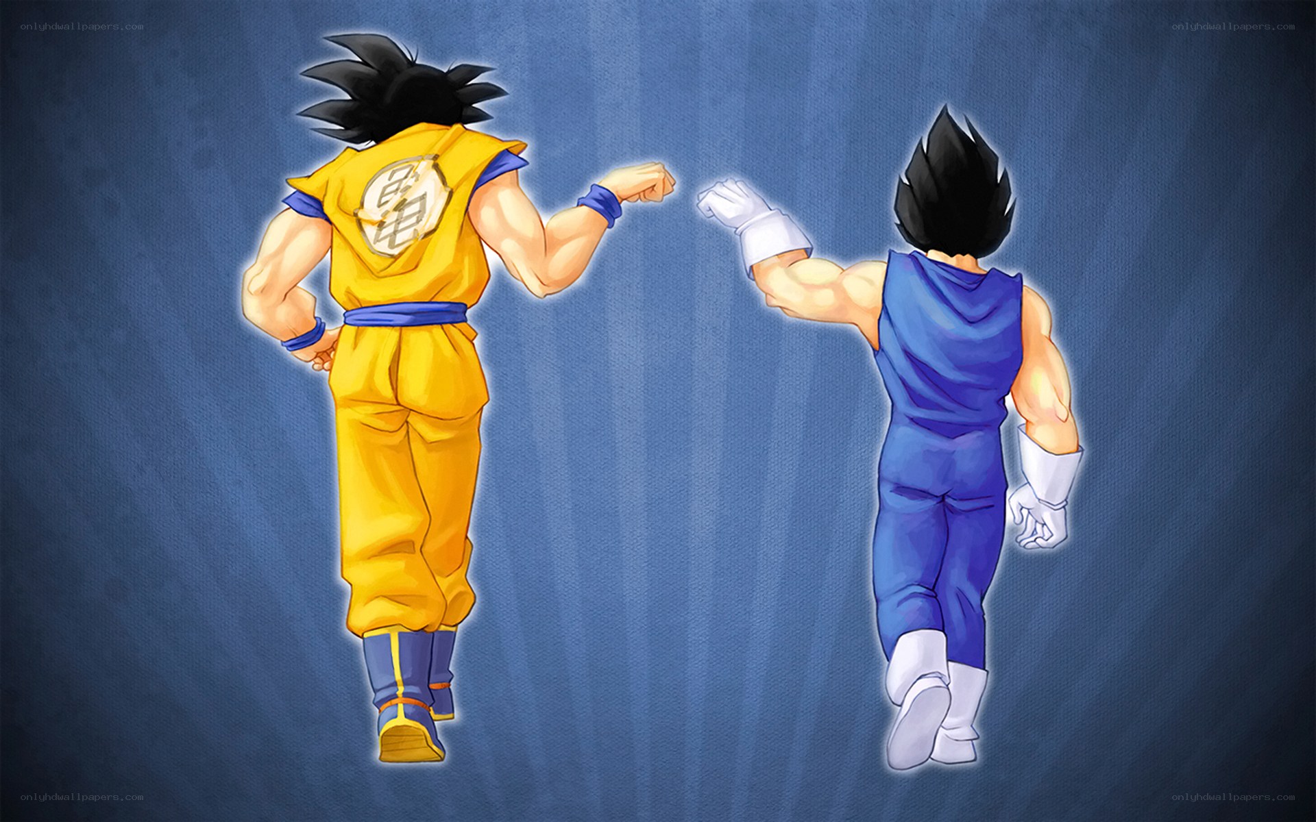 Goku and Vegeta facing off