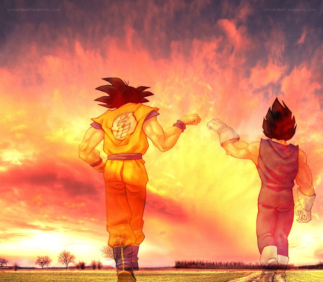 Goku and Vegeta facing off