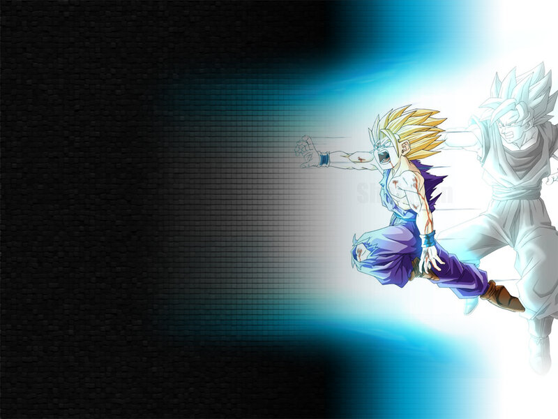 Goku and Vegeta in battle