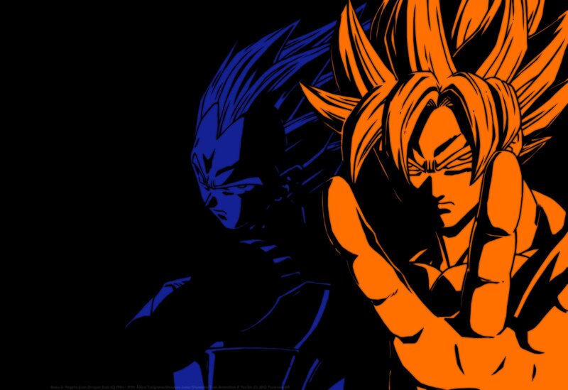 Goku and Vegeta in Battle — Black
