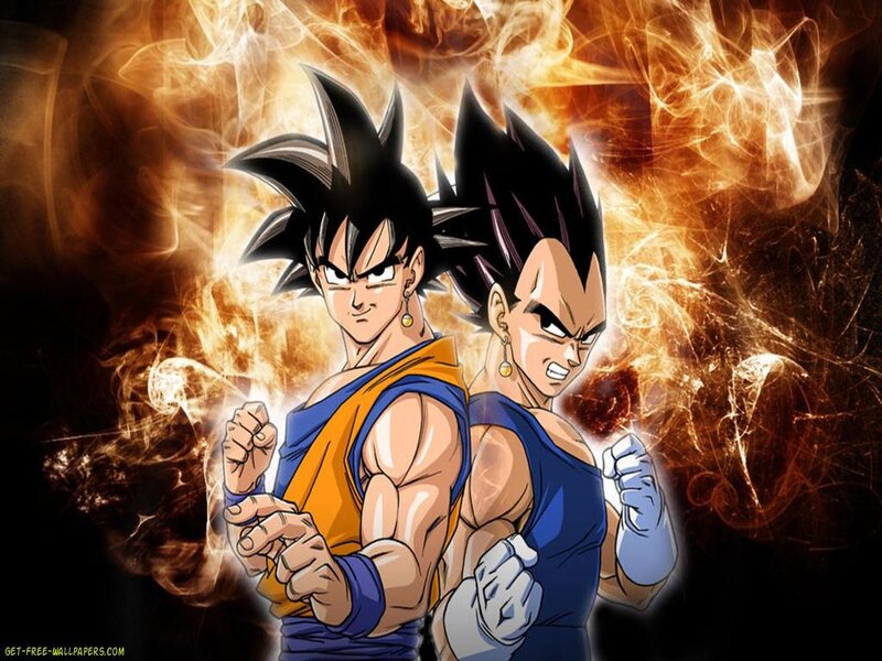 Goku and Vegeta in Battle — Orange