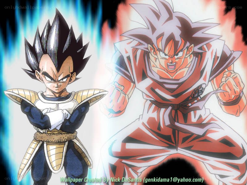 Goku and Vegeta in battle
