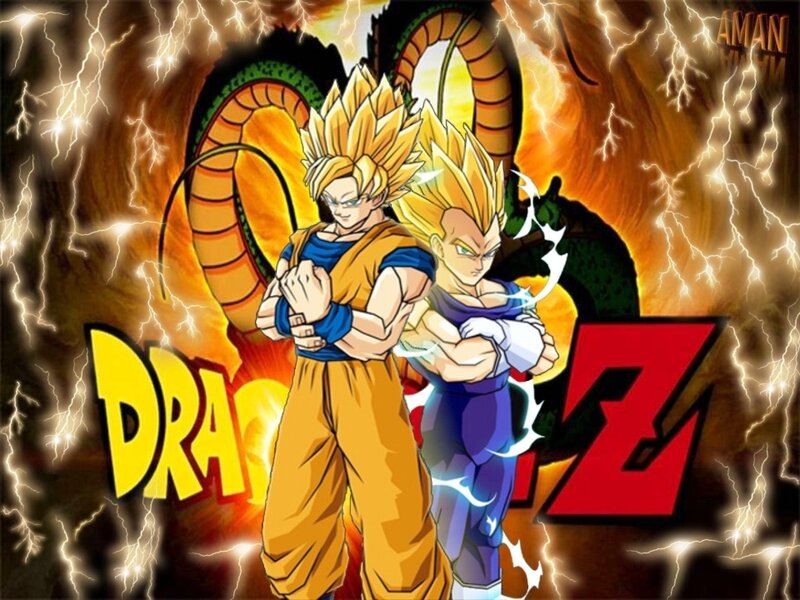 Goku and Vegeta in Dragon Ball Z