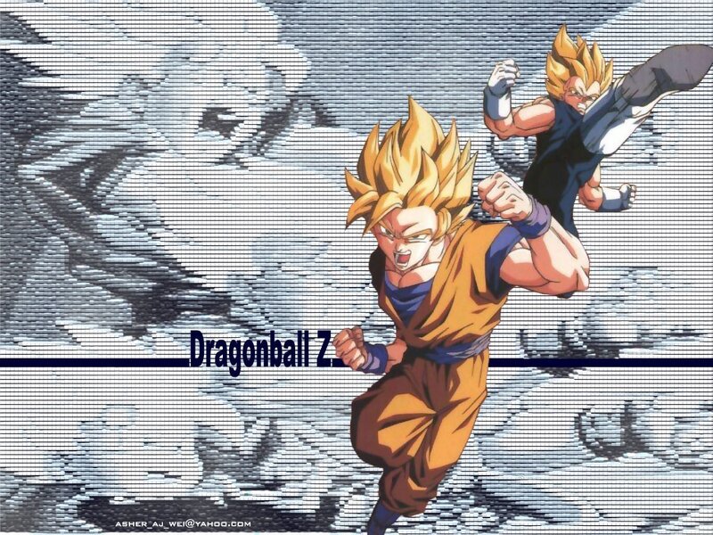 Goku and Vegeta in Dragon Ball Z