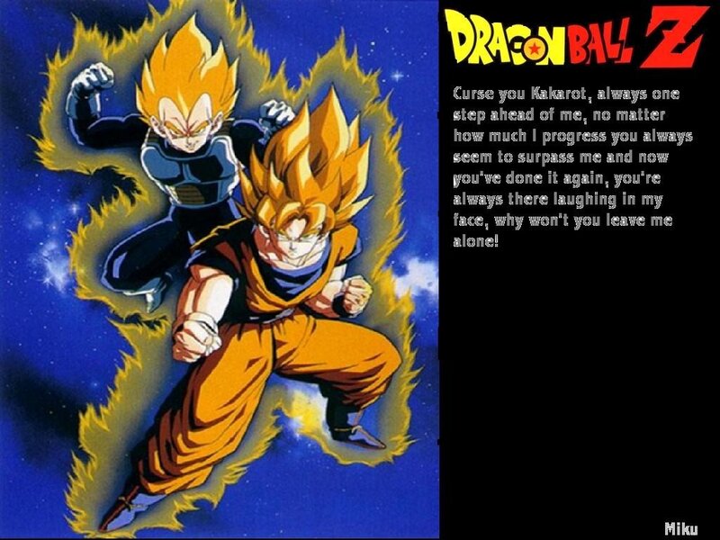 Goku and Vegeta in Dragon Ball Z