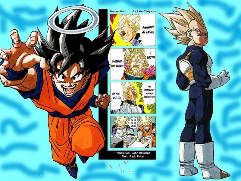 Goku and Vegeta in Dragon Ball
