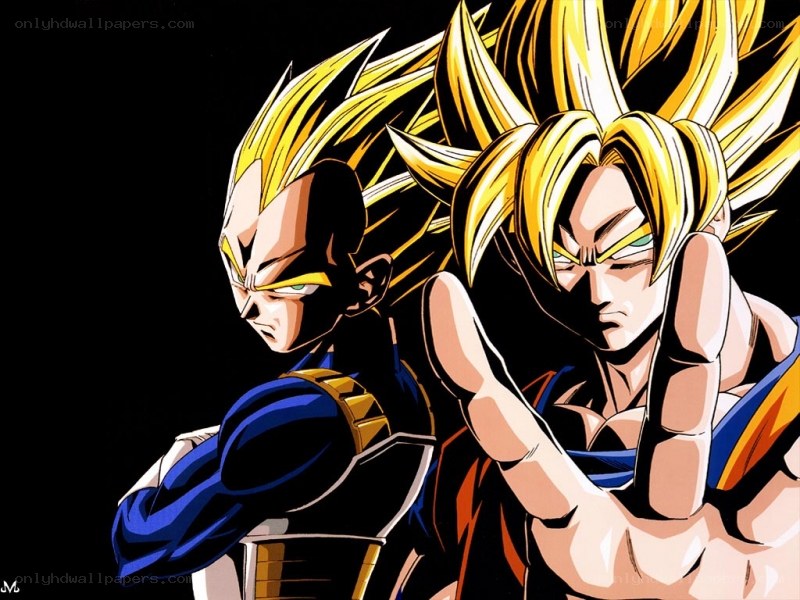 Goku and Vegeta in Super Saiyan forms