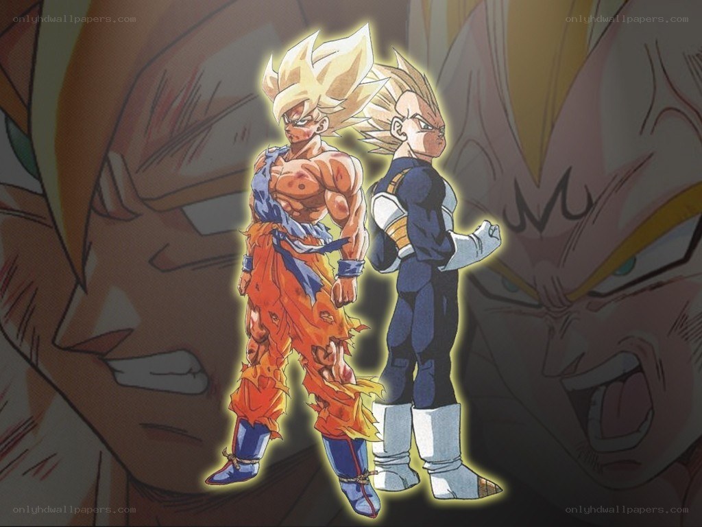 Goku and Vegeta in Super Saiyan forms