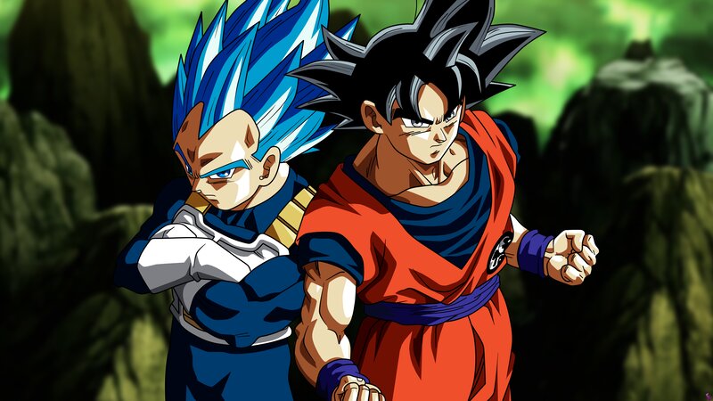 Goku and Vegeta Standing