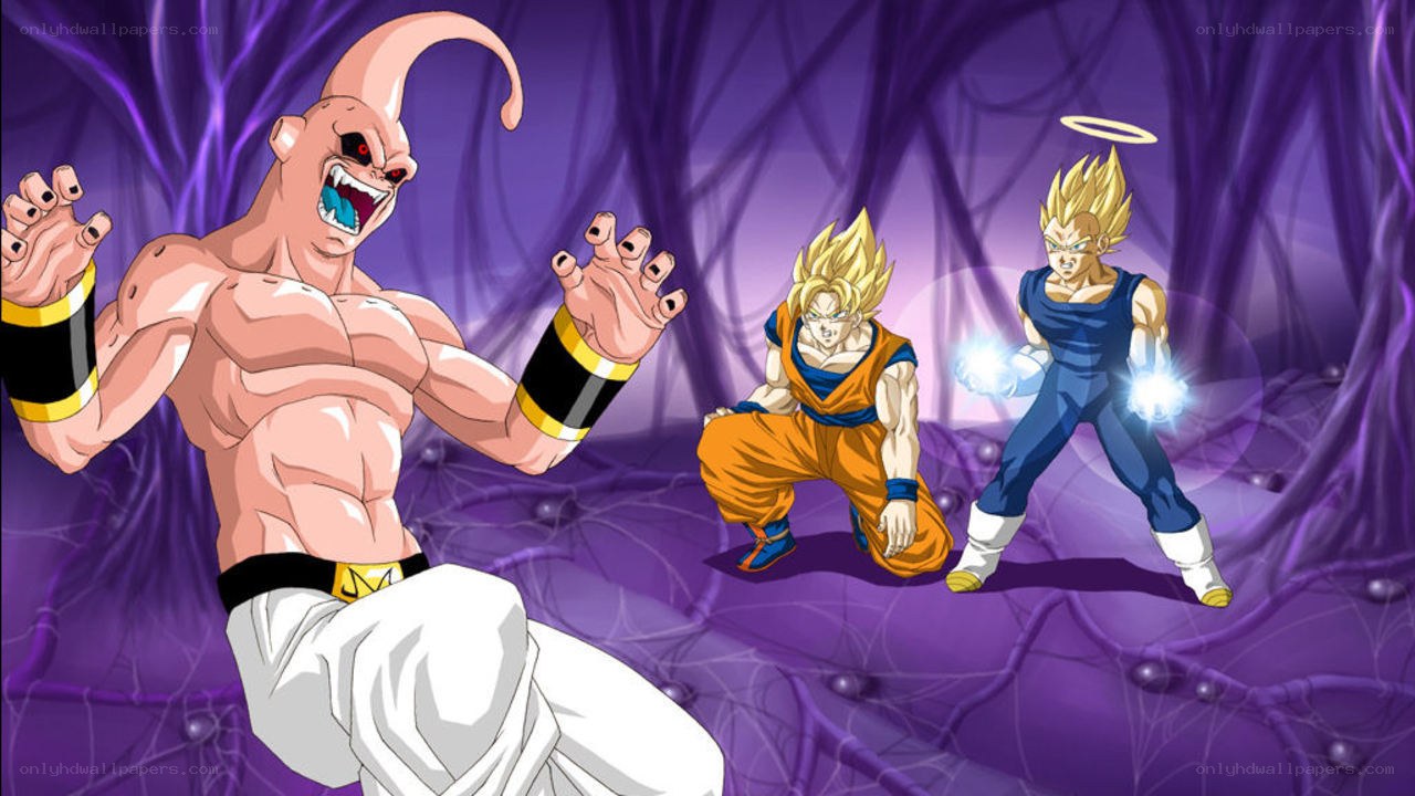 Goku and Vegeta vs Buu