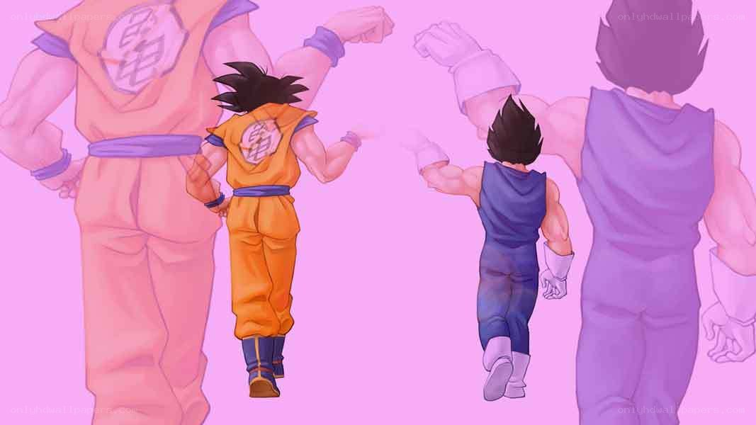 Goku and Vegeta walking