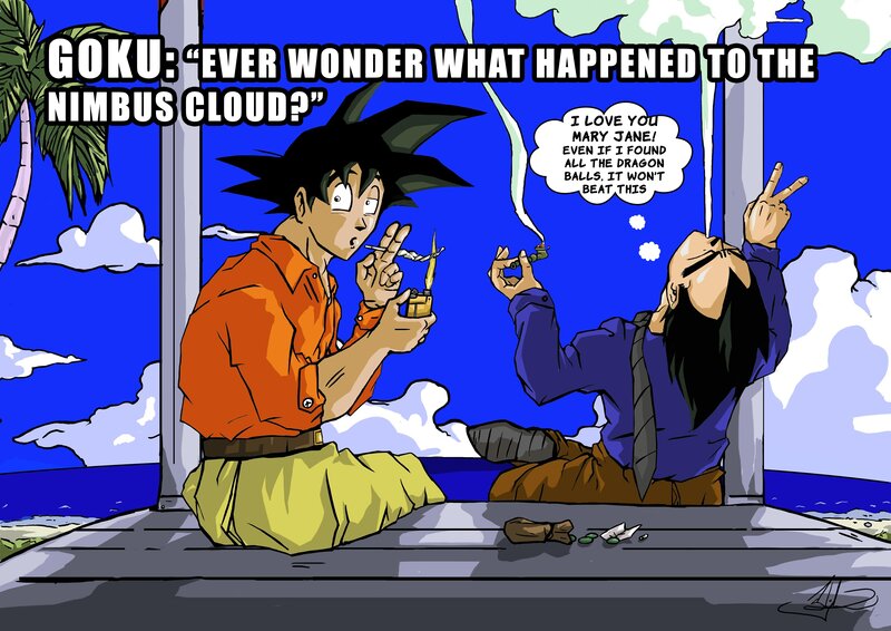 Goku and Yamcha on Beach