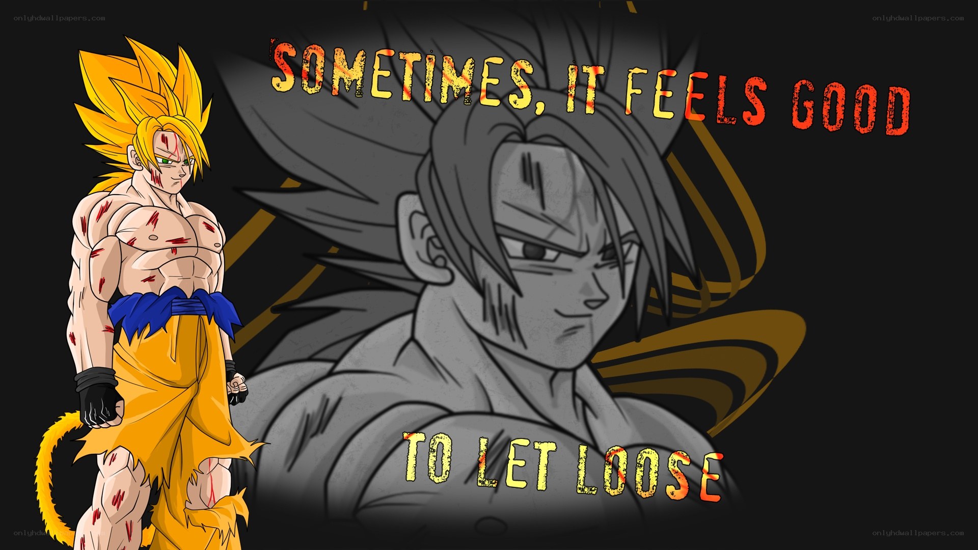 Goku battle damage art