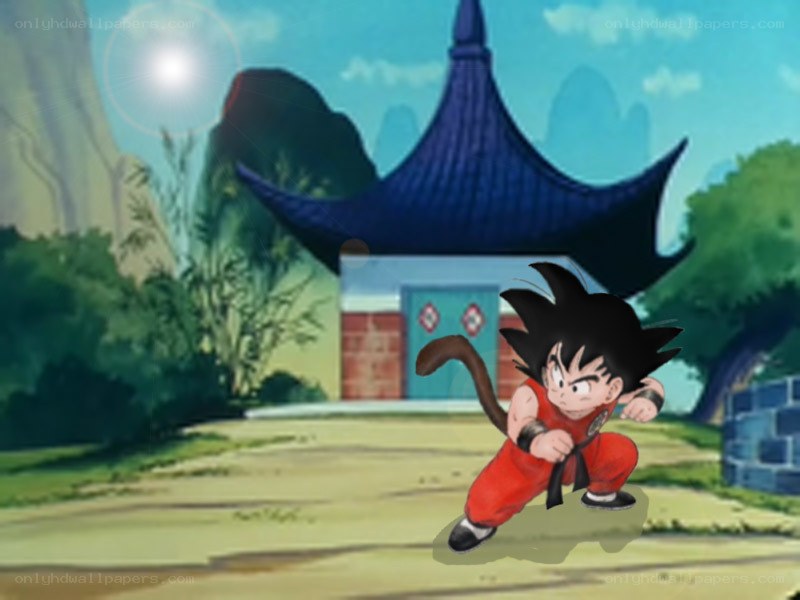 Goku in a fighting stance
