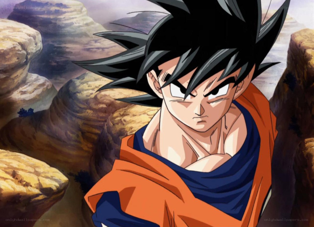 Goku in battle stance