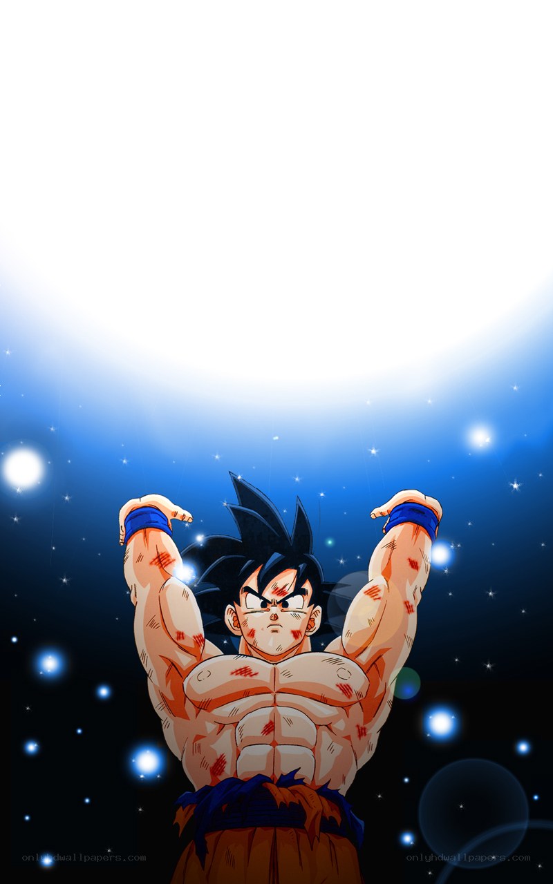 Goku in battle stance