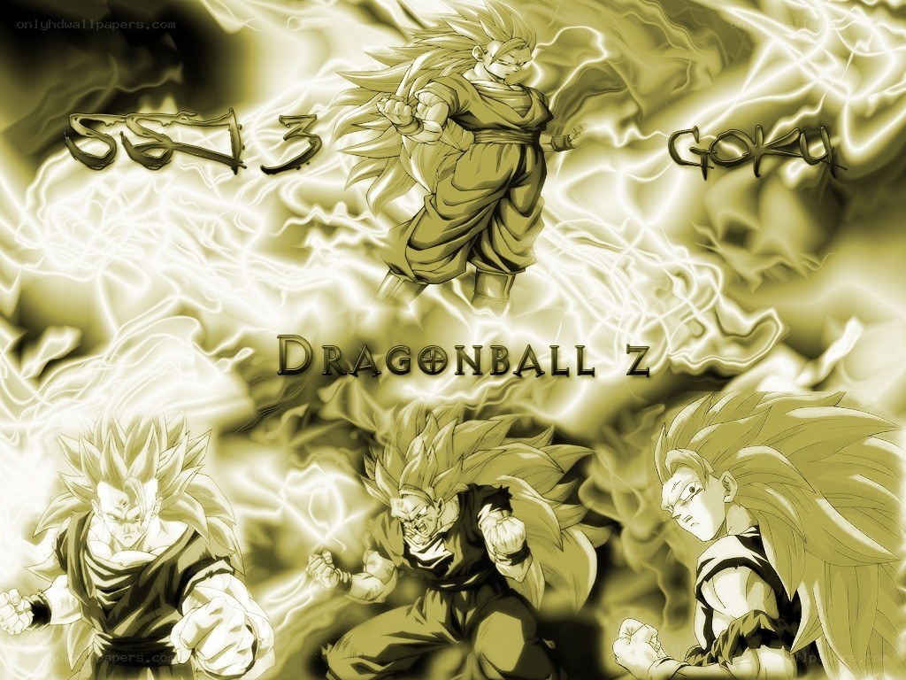 Goku in Dragon Ball Z
