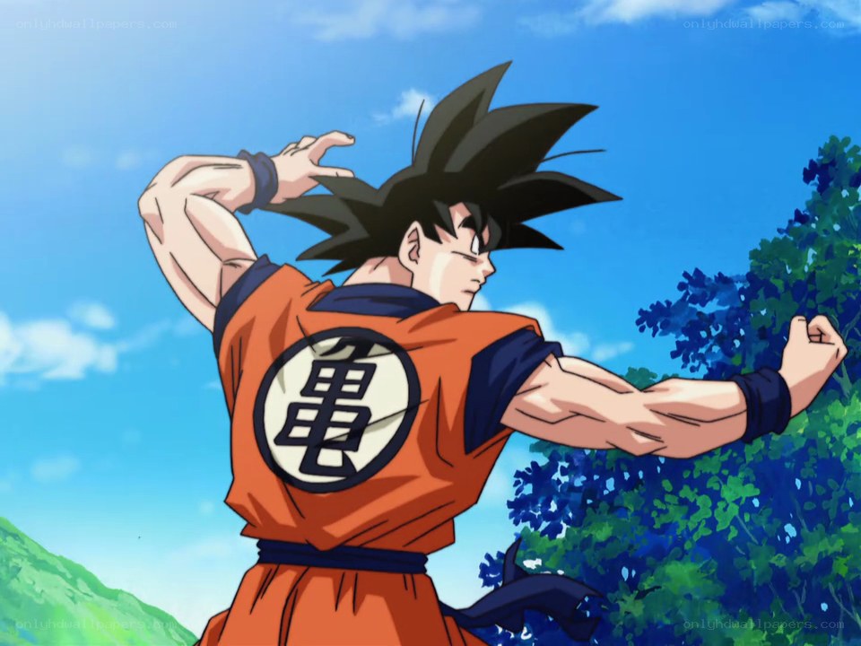 Goku in fighting stance