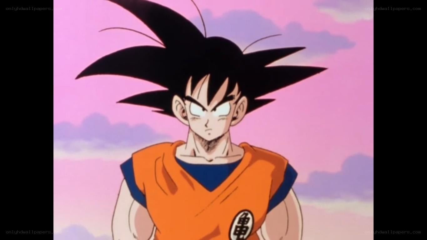 Goku in orange gi