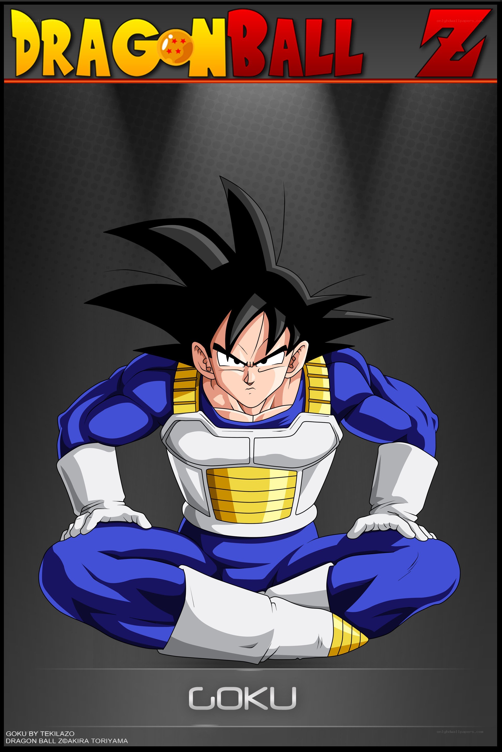 Goku in Saiyan armor