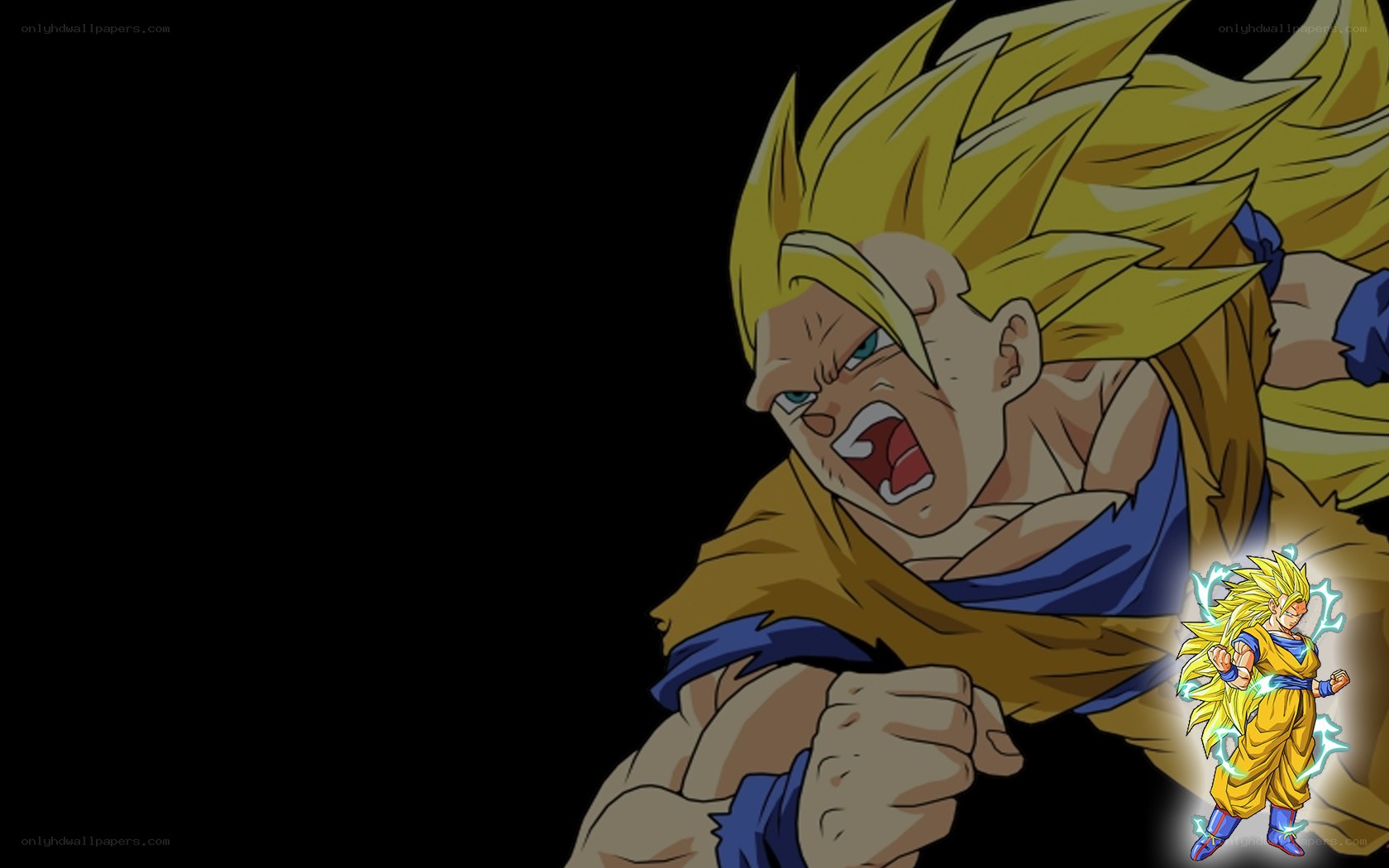 Goku in Super Saiyan form