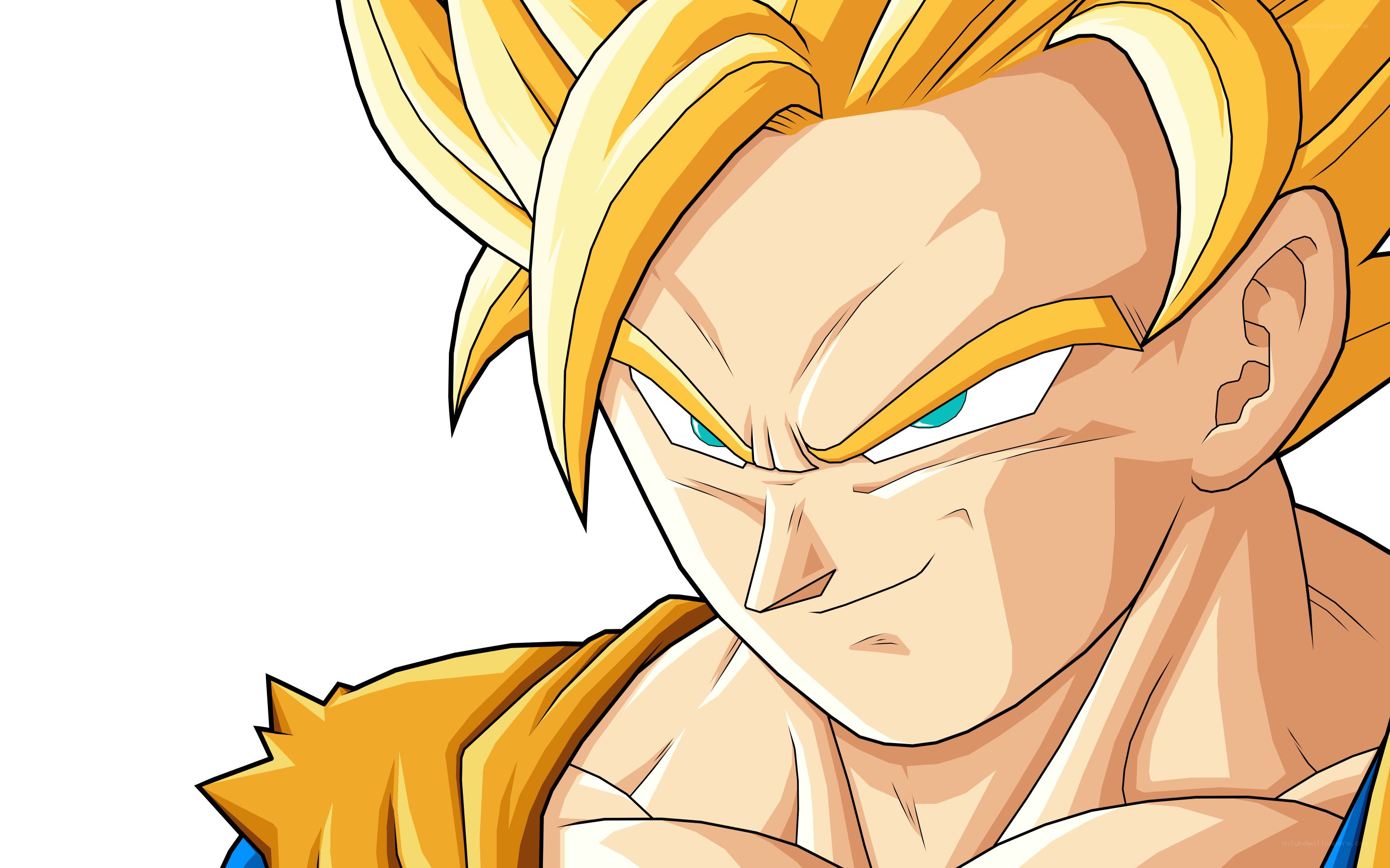 Goku in Super Saiyan form