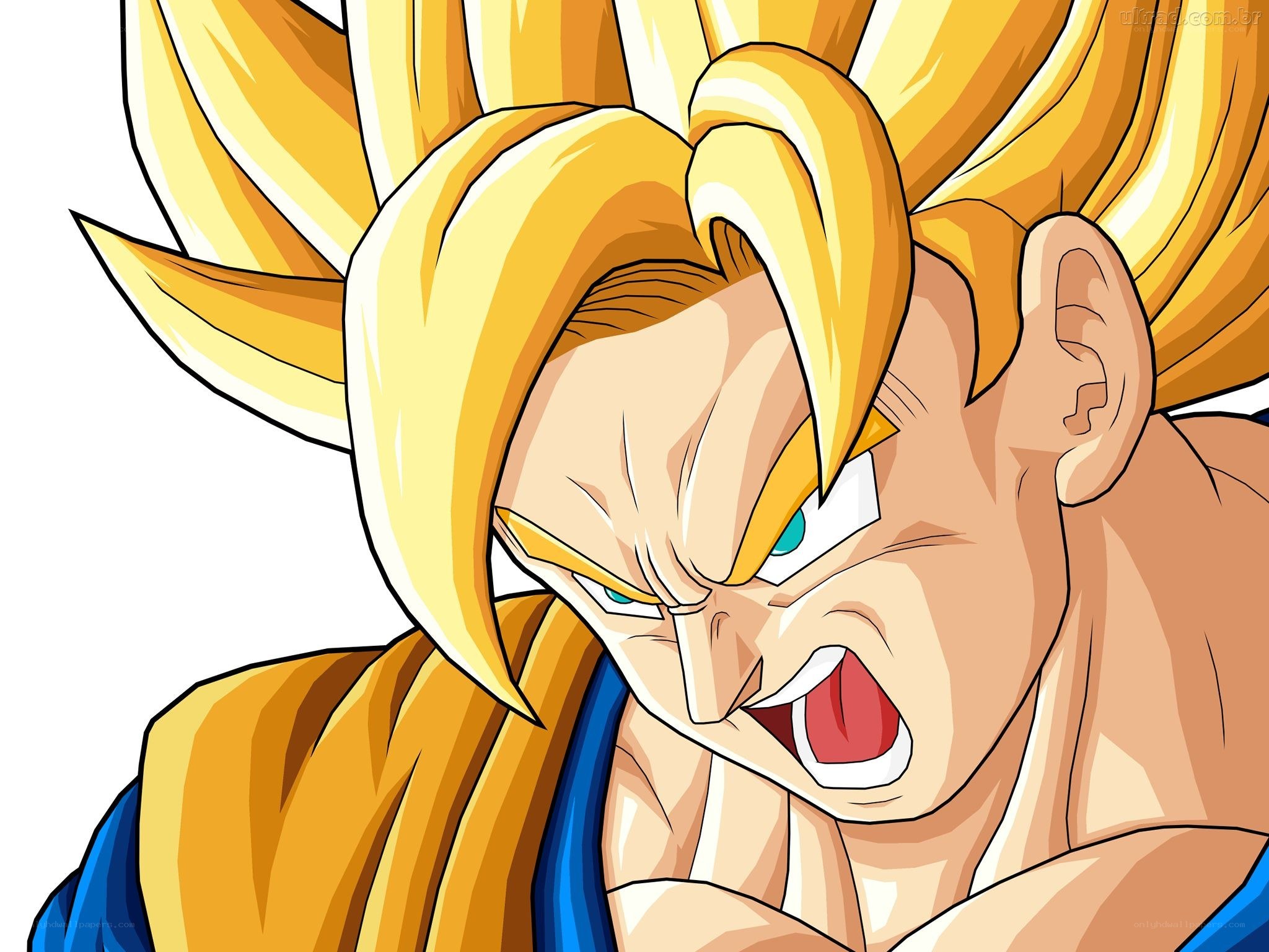 Goku in Super Saiyan form