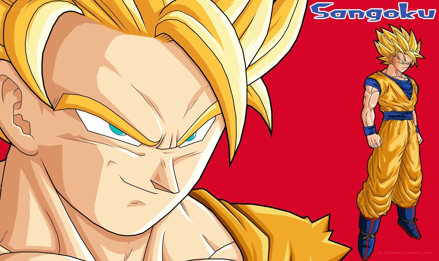 Goku in Super Saiyan form