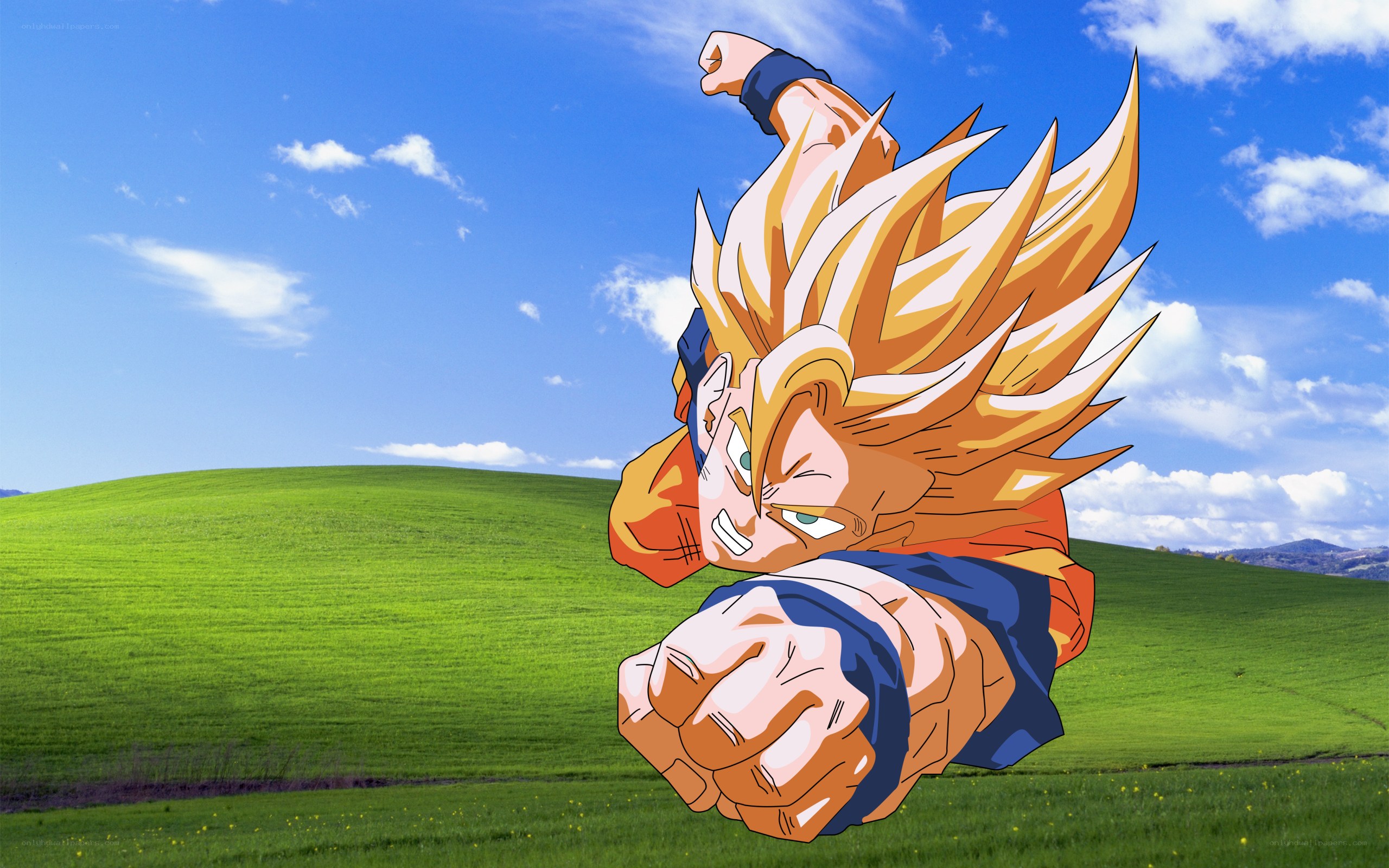 Goku in Super Saiyan form