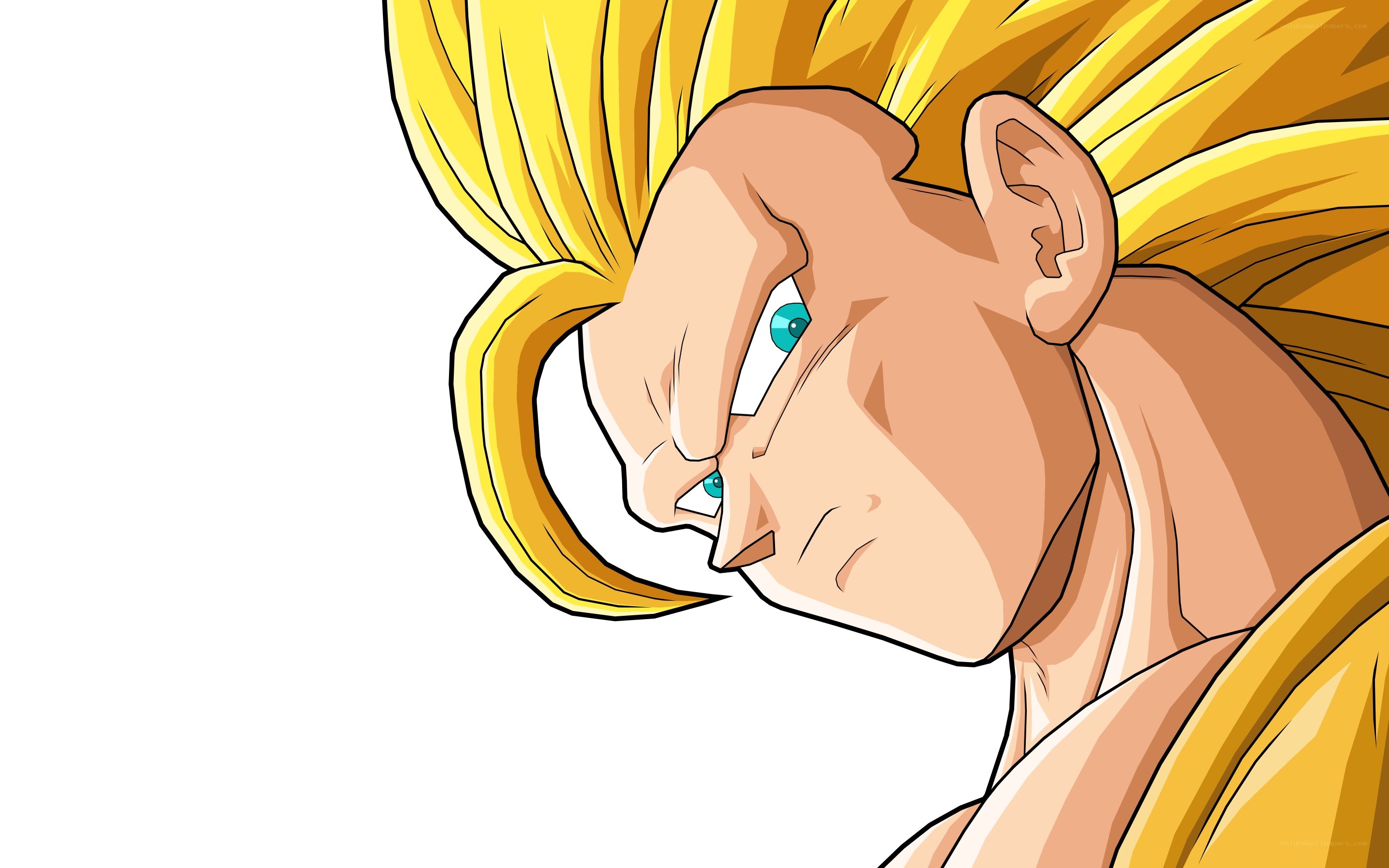 Goku in Super Saiyan form