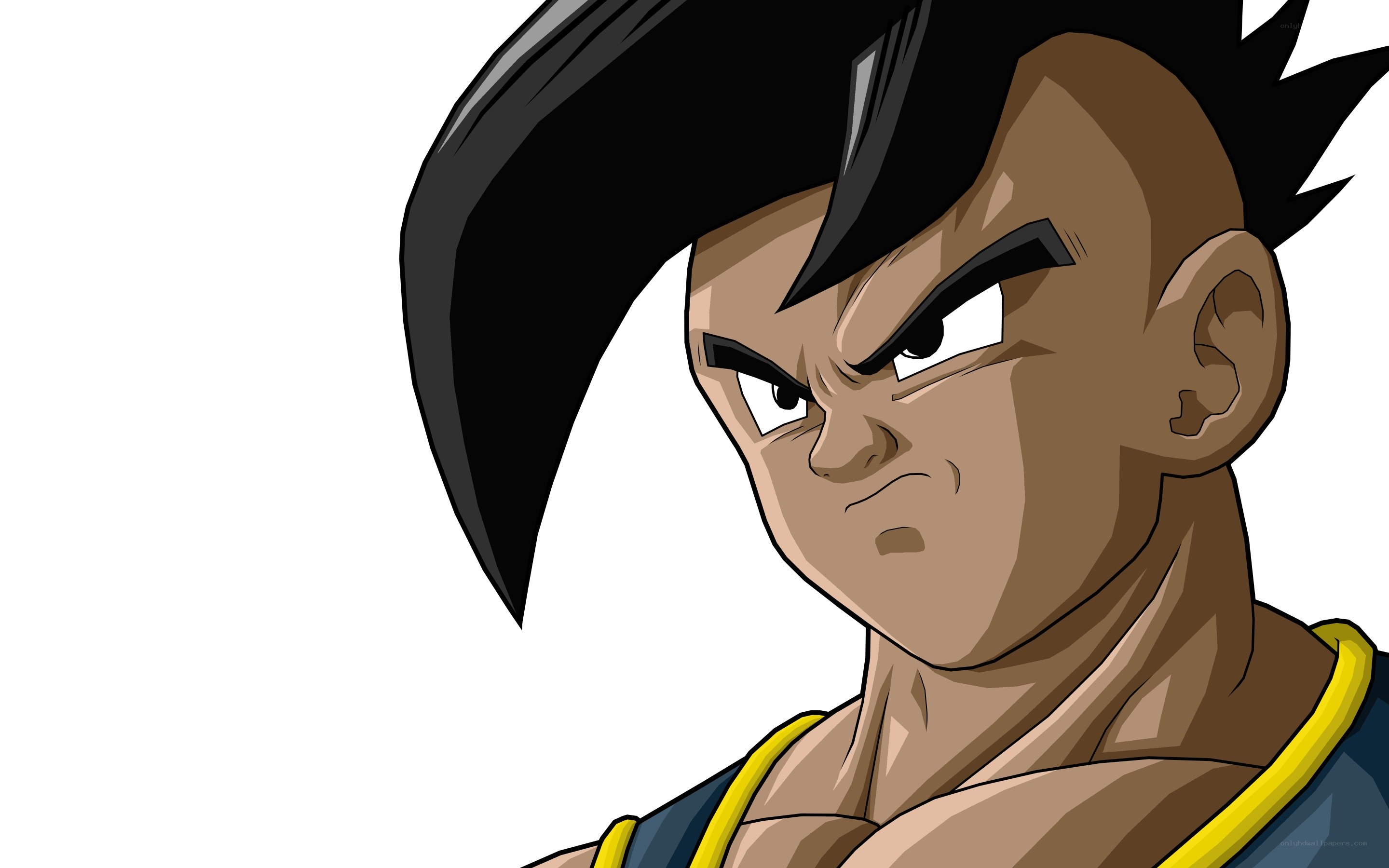 Goku in Super Saiyan form