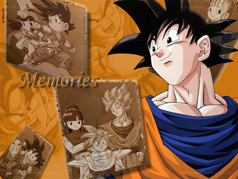 Goku memories collage