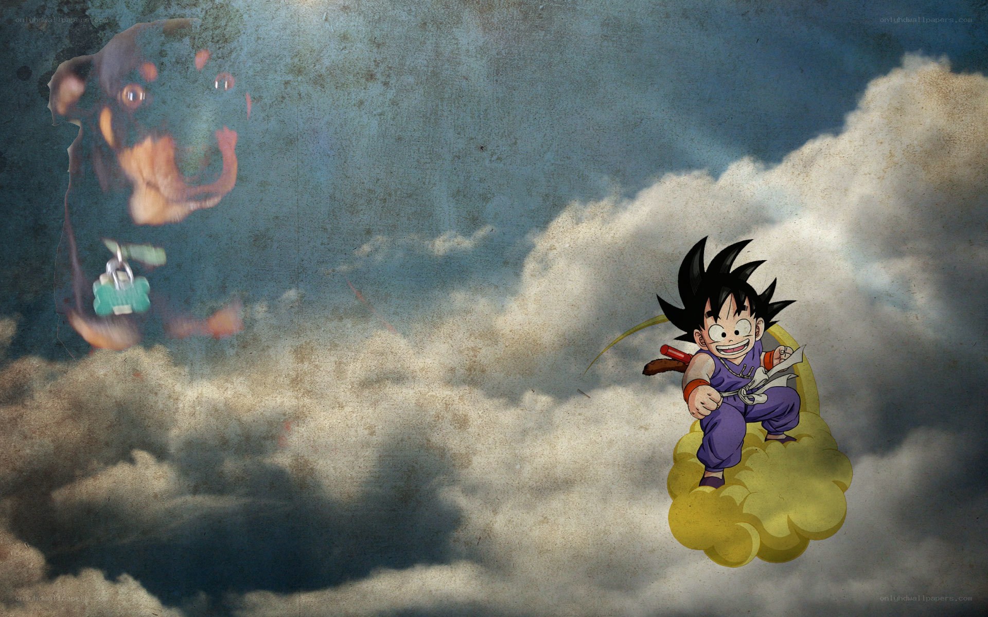 Goku on the Flying Cloud