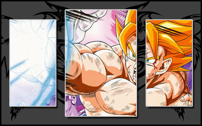 Goku transformation panels