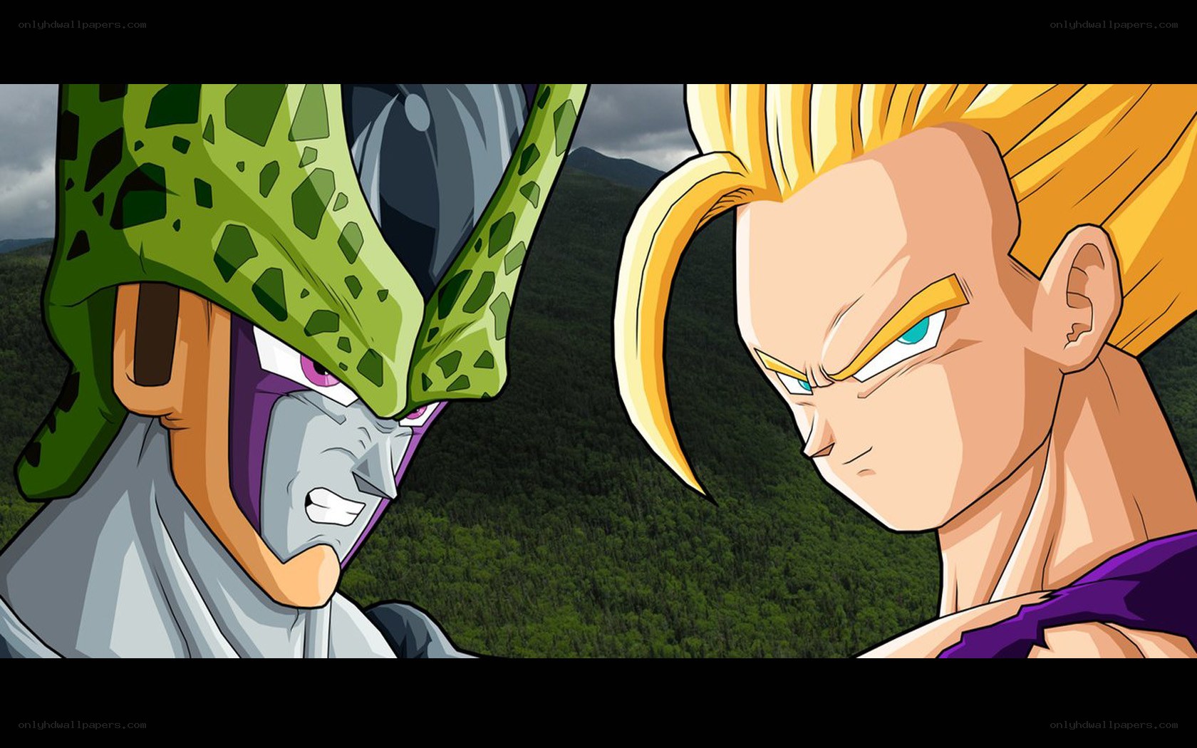 Goku vs Cell confrontation