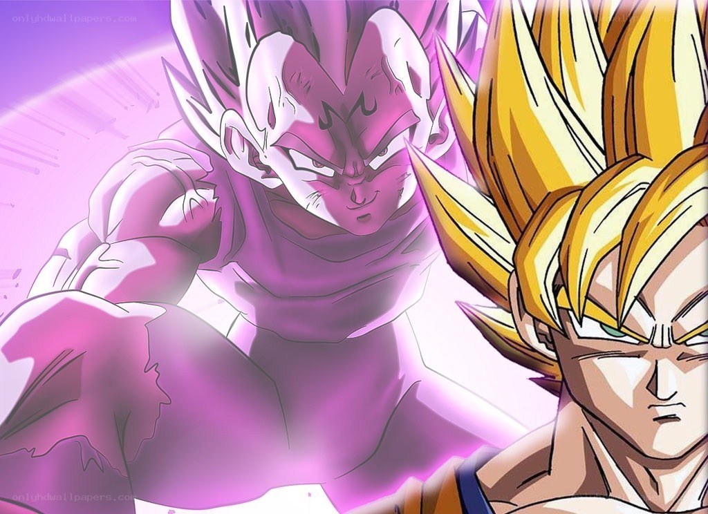 Goku vs Vegeta battle