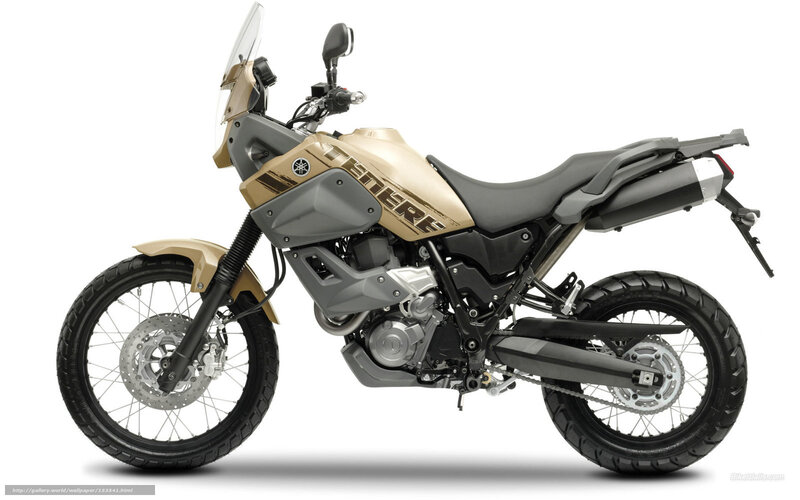 Gold and Black Motorcycle — Neutral, Photograph