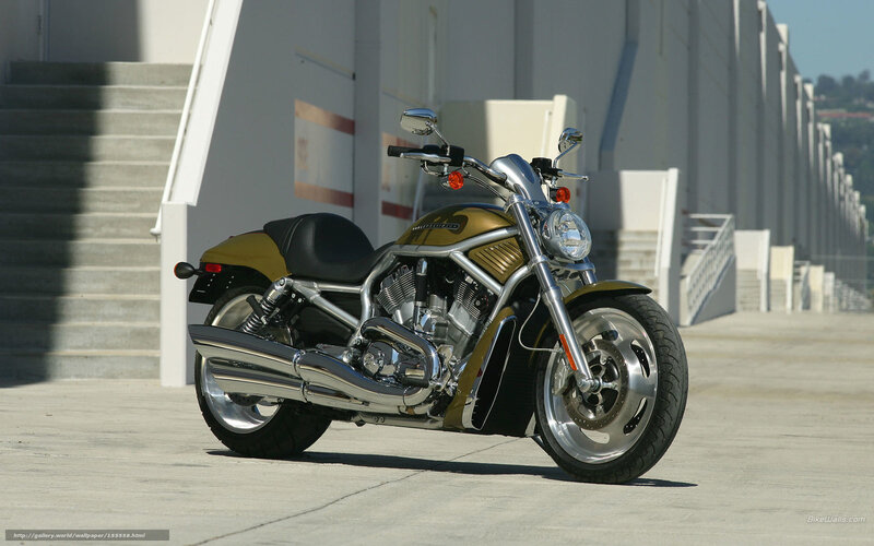 Gold and chrome Harley-Davidson motorcycle