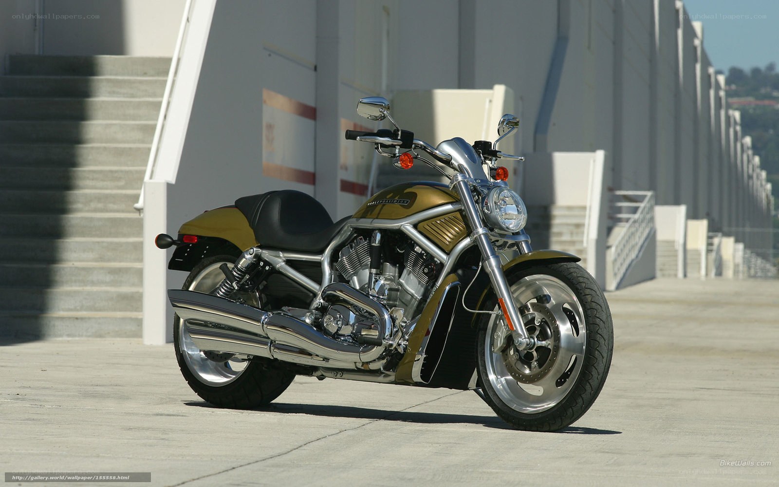 Gold and chrome Harley-Davidson motorcycle