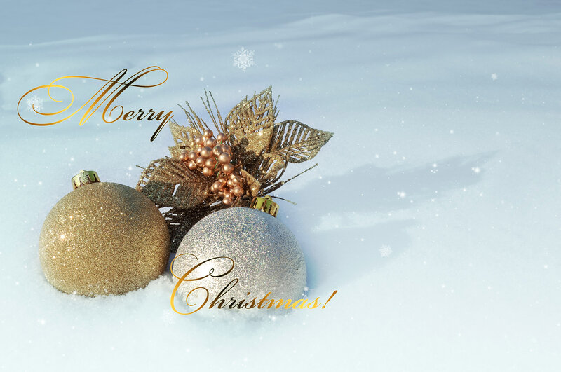 Gold and Silver Ornaments — White